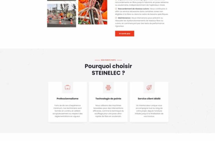 page accueil site internet steinelec